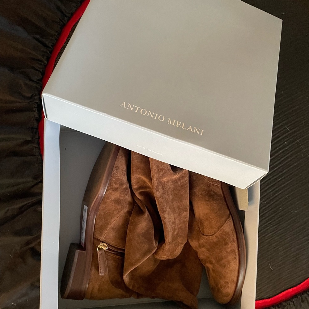 Thigh High Suede Boots